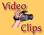 Video Clips Logo
